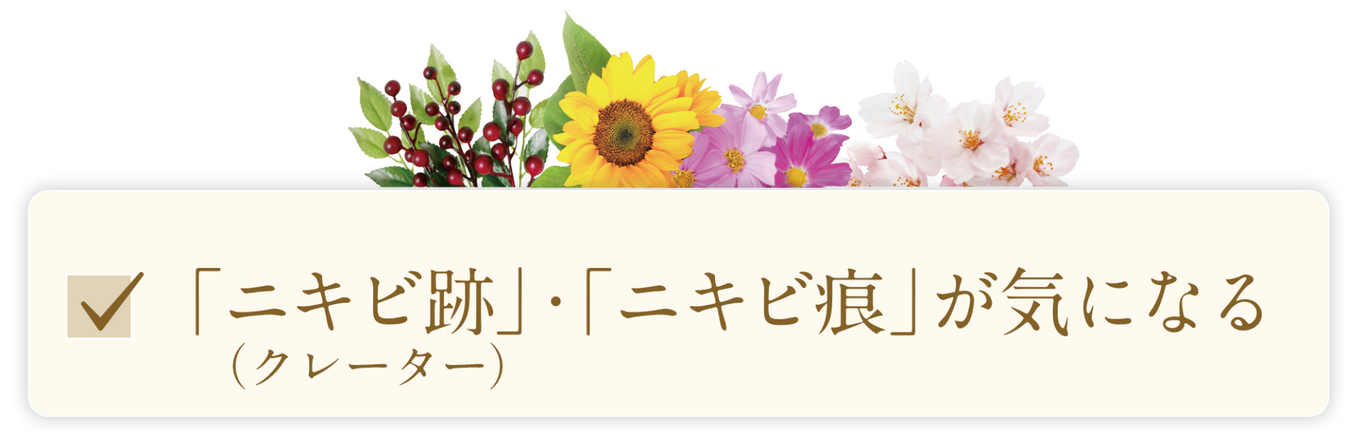 フォーシーズンズモチーフの花、「にきびあと」が気になる